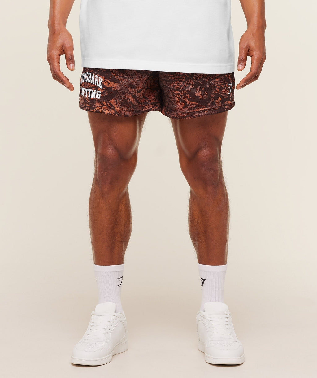 Lifting Mesh 5" Shorts