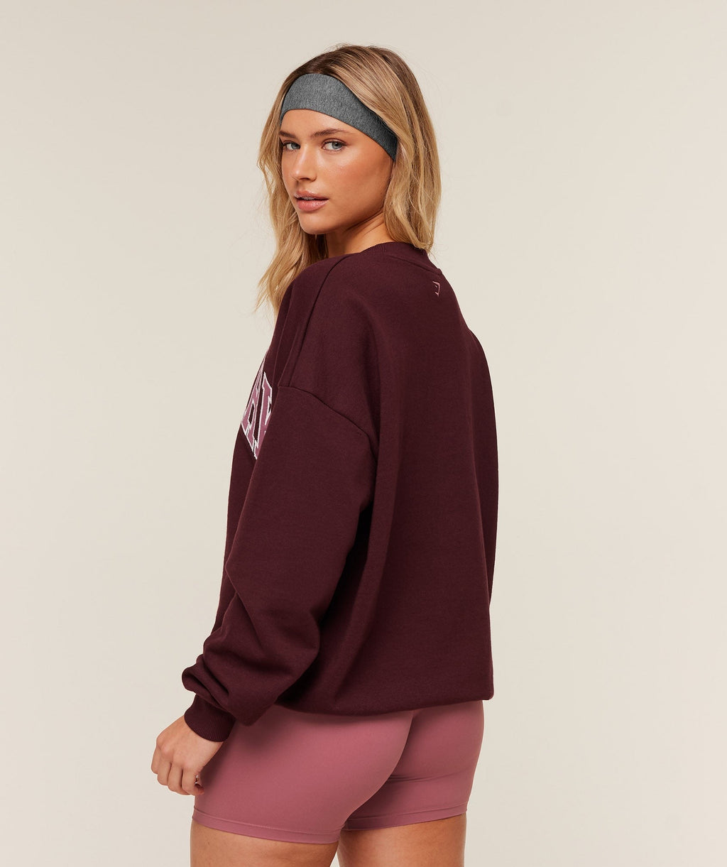 Collegiate Graphic Crew Neck Pullover