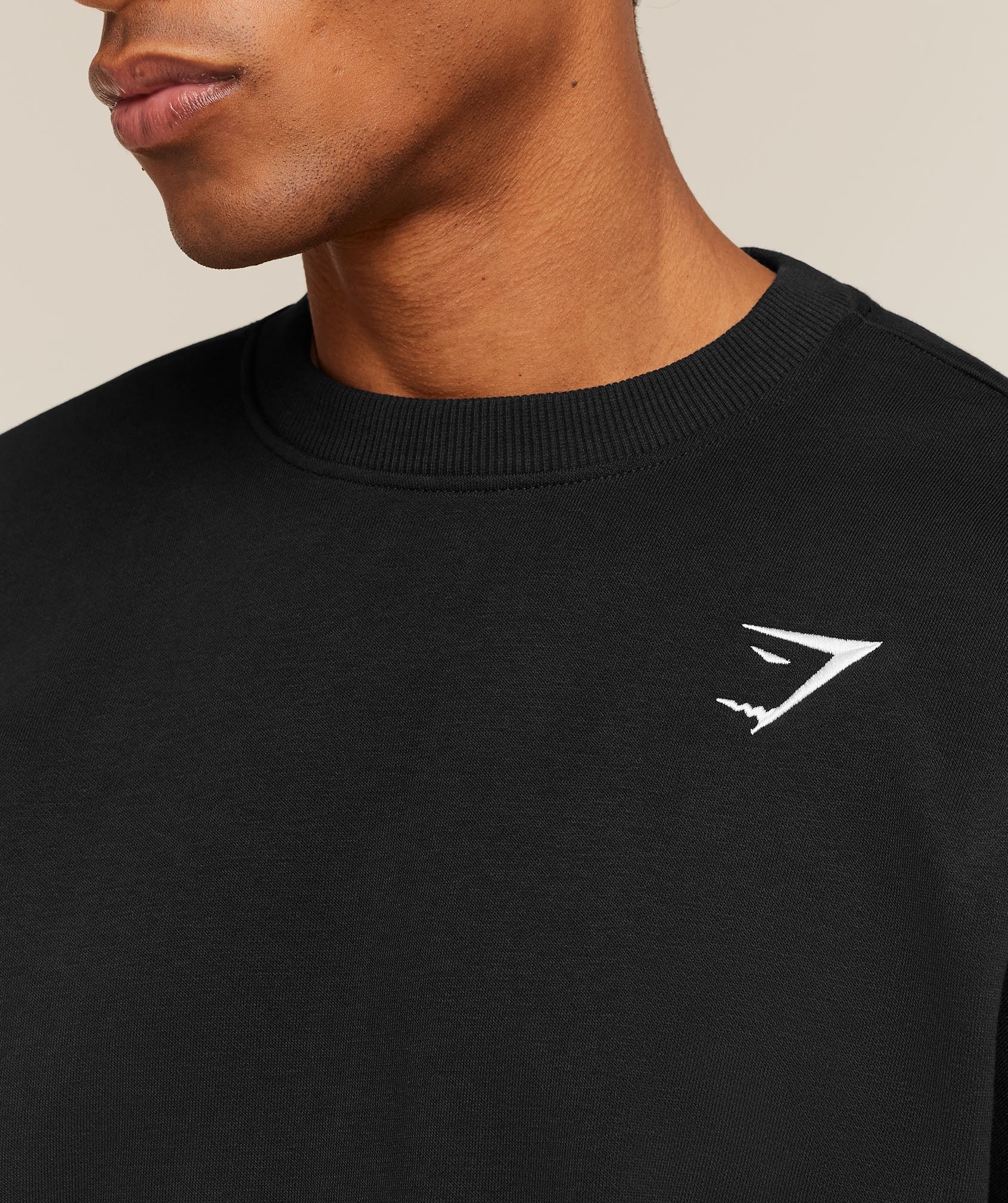 Oversized Crest Crew