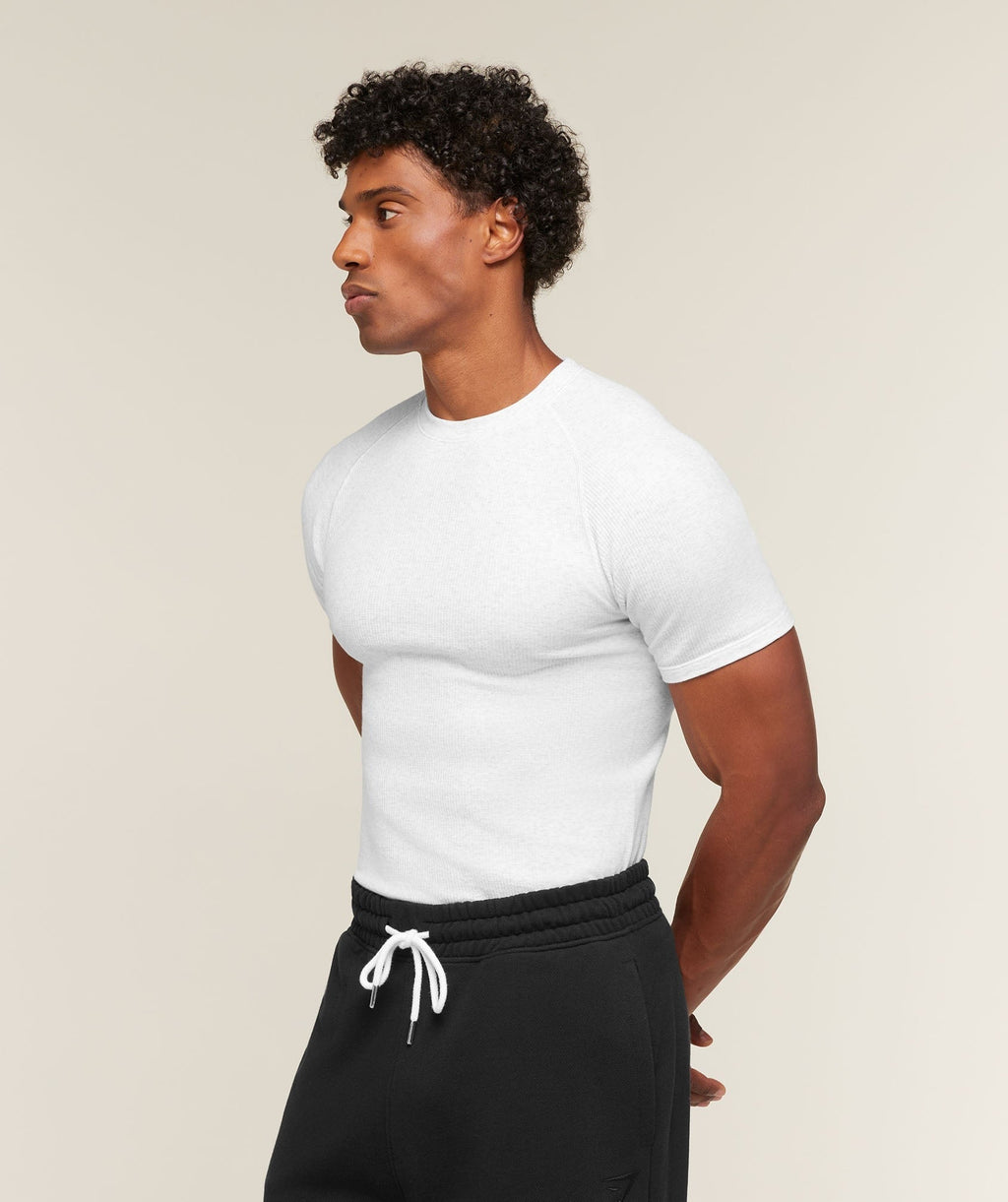 Cotton Seamless T-Shirt