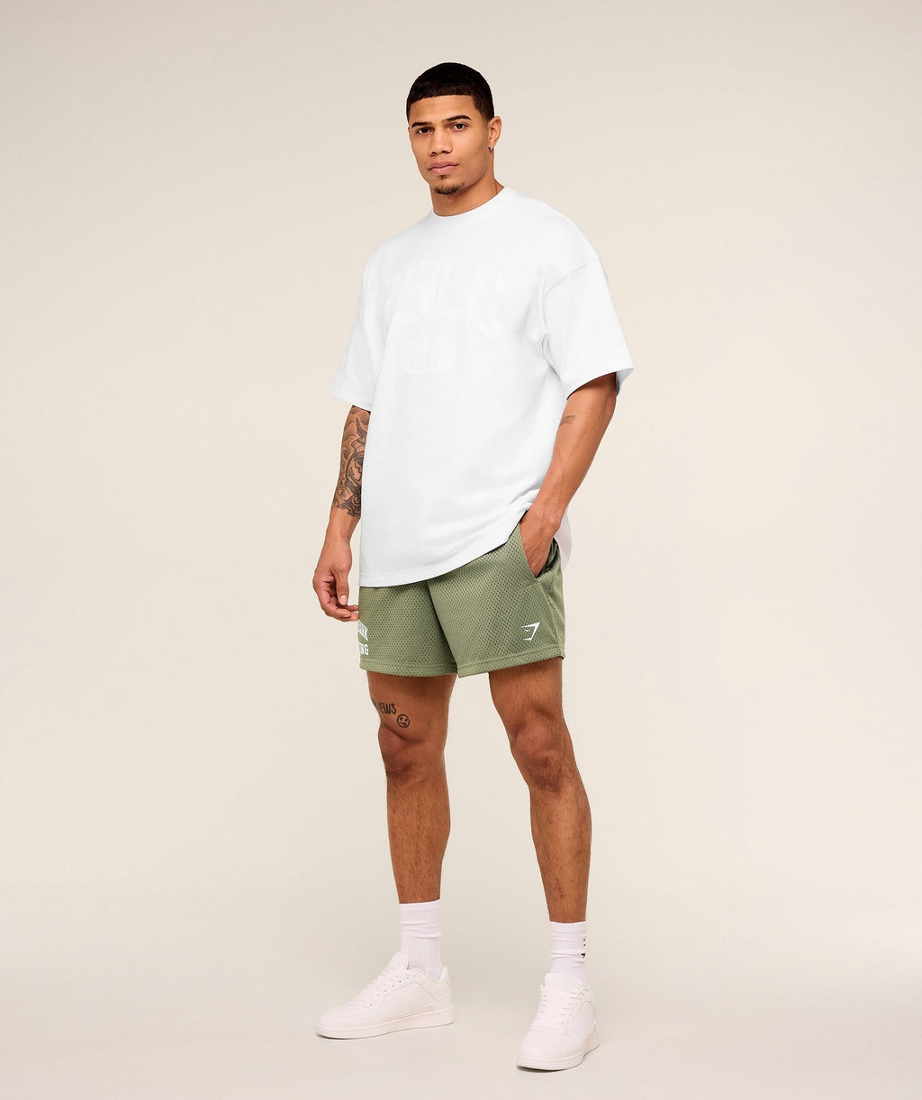 Lifting Mesh 5" Shorts