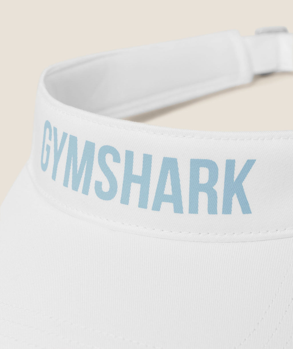 Visor