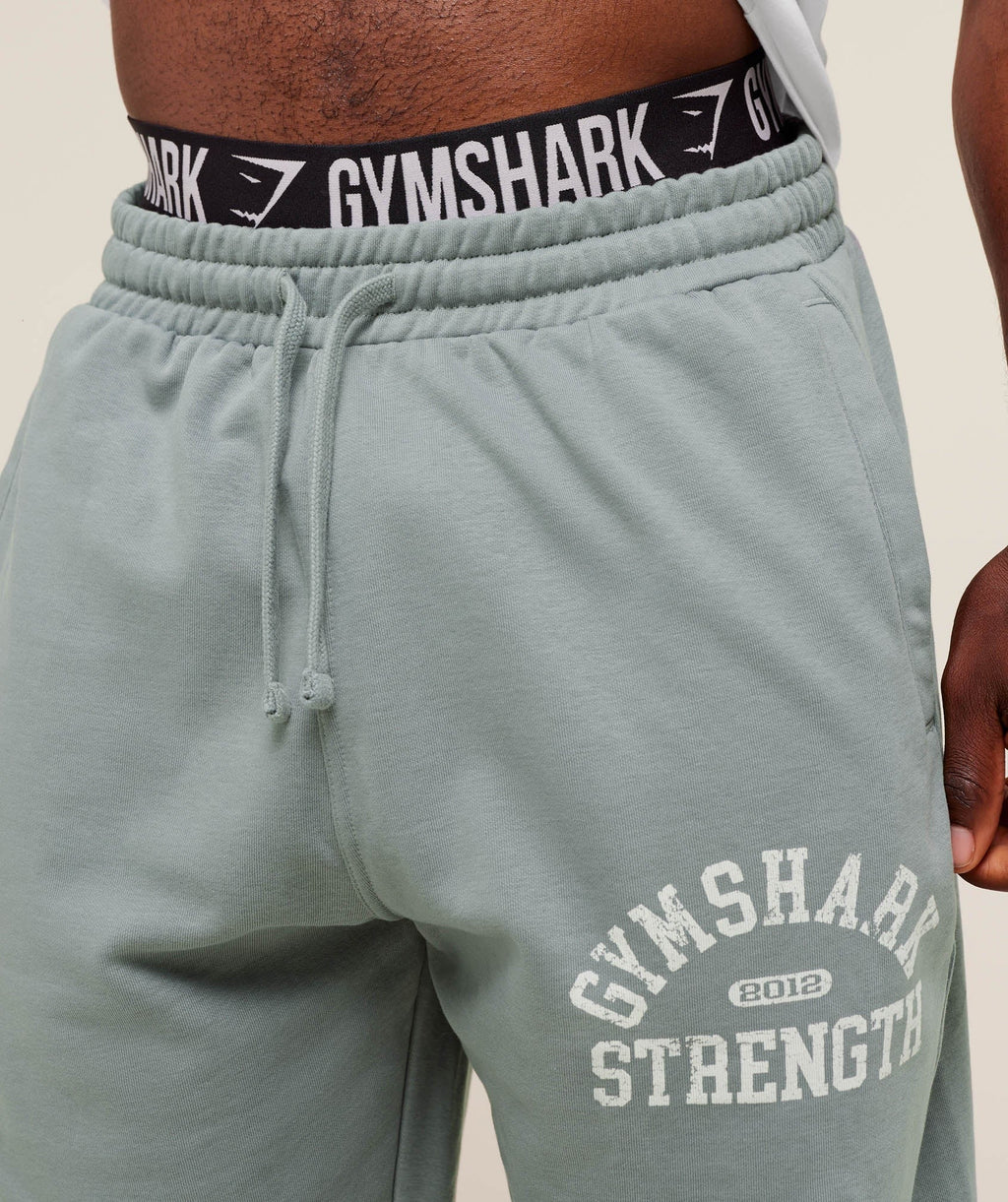 2012 Strength Joggers