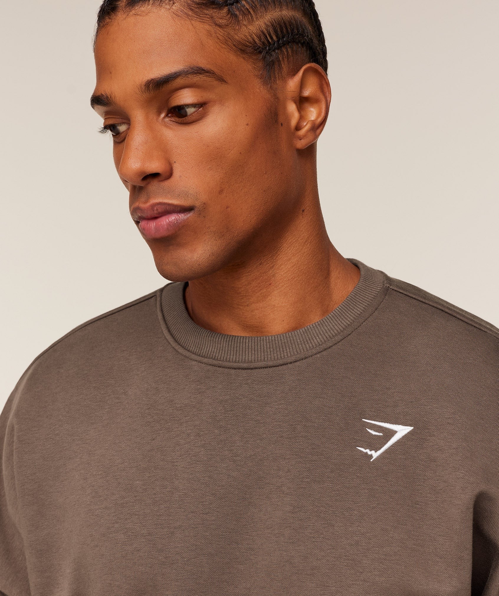 Oversized Crest Crew