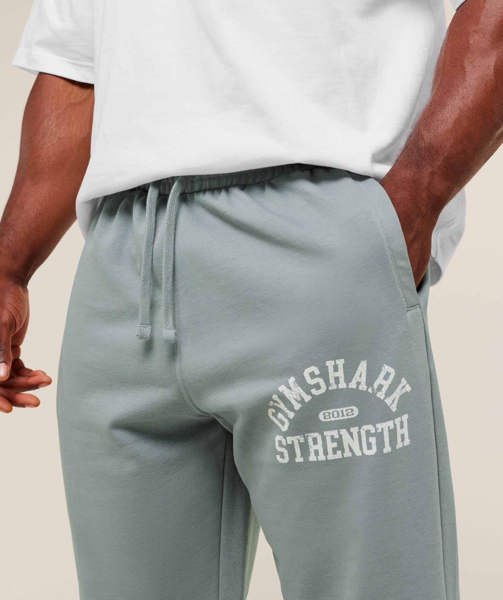 2012 Strength Joggers