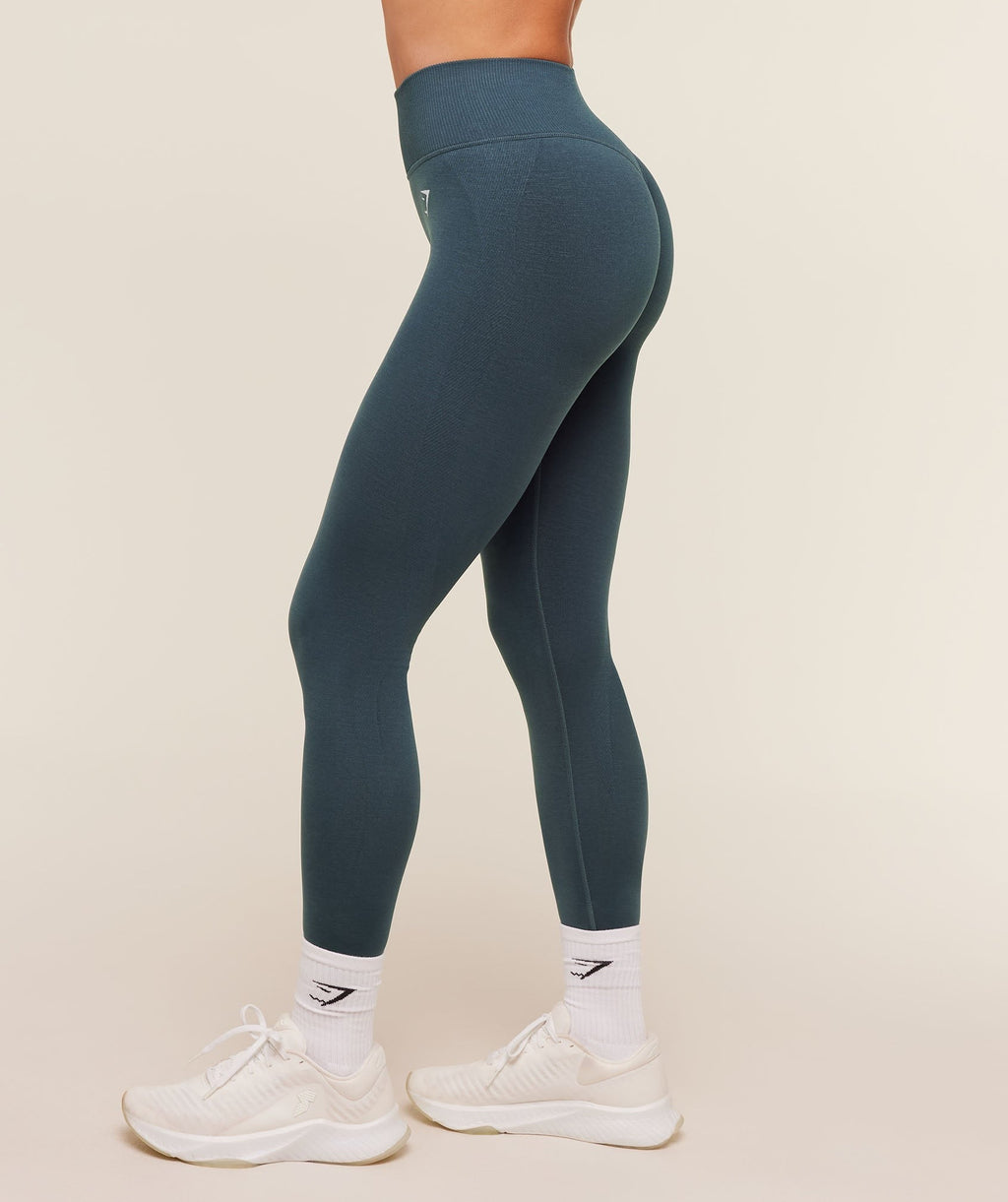 Interval Seamless Leggings