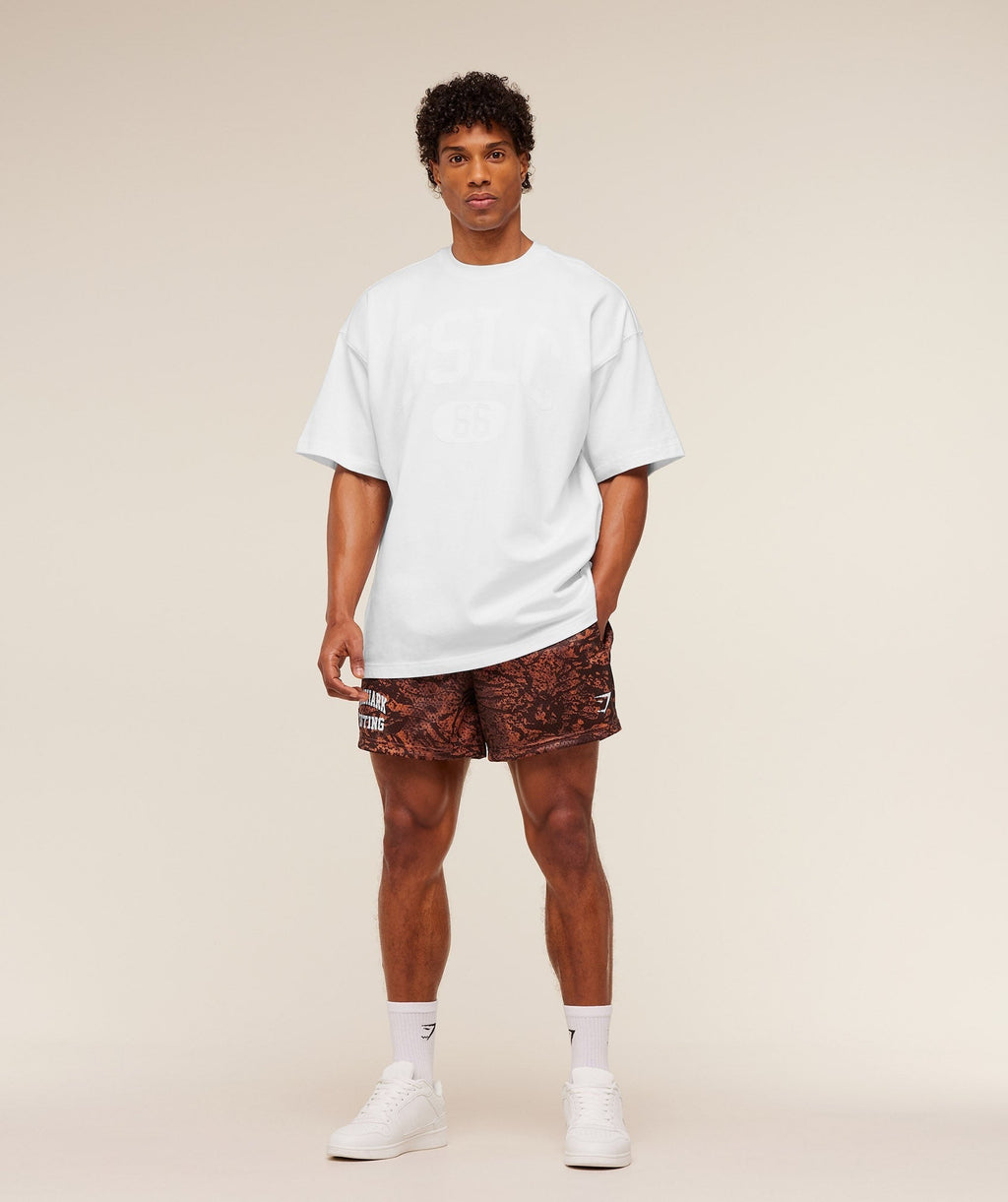 Lifting Mesh 5" Shorts