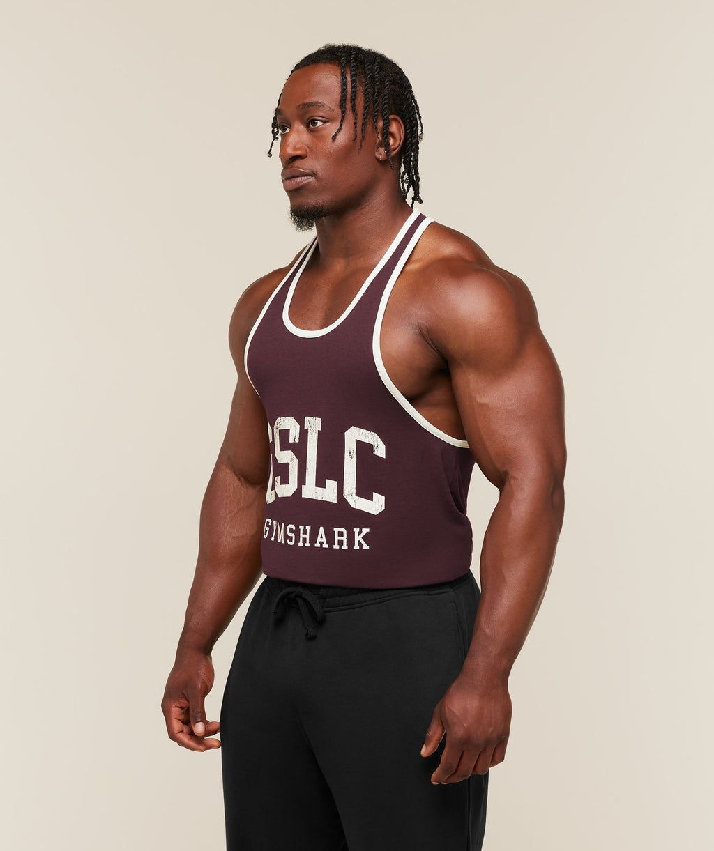 GSLC Stringer