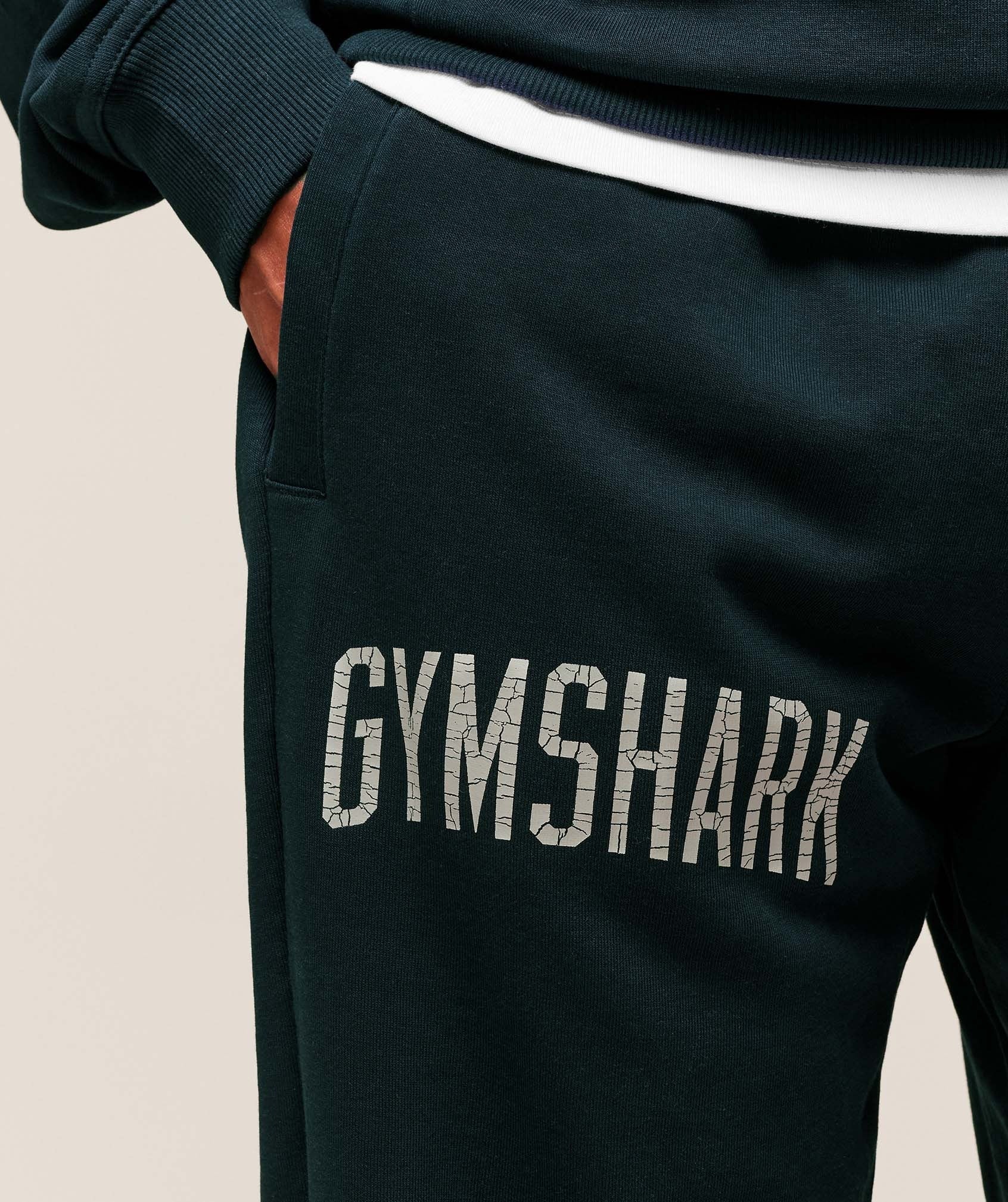 Worn Graphic Joggers