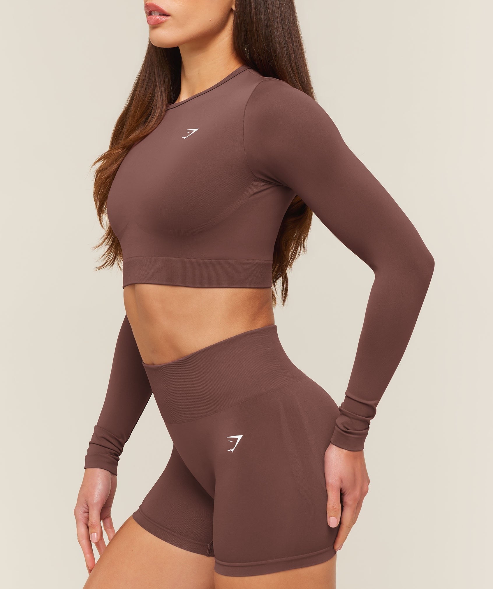 Everyday Seamless Long Sleeve Crop Top