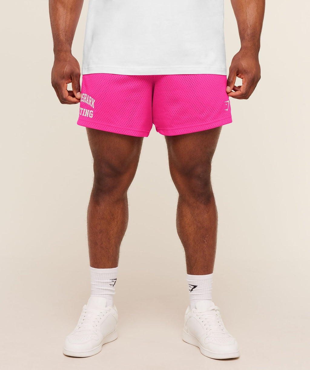 Lifting Mesh 5" Shorts
