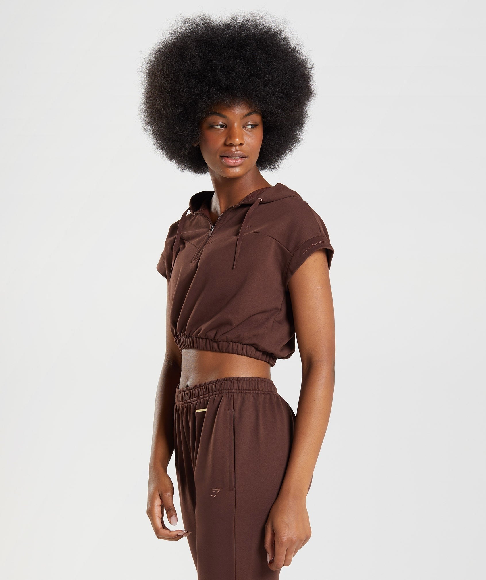 Whitney Cropped Sleeveless Hoodie