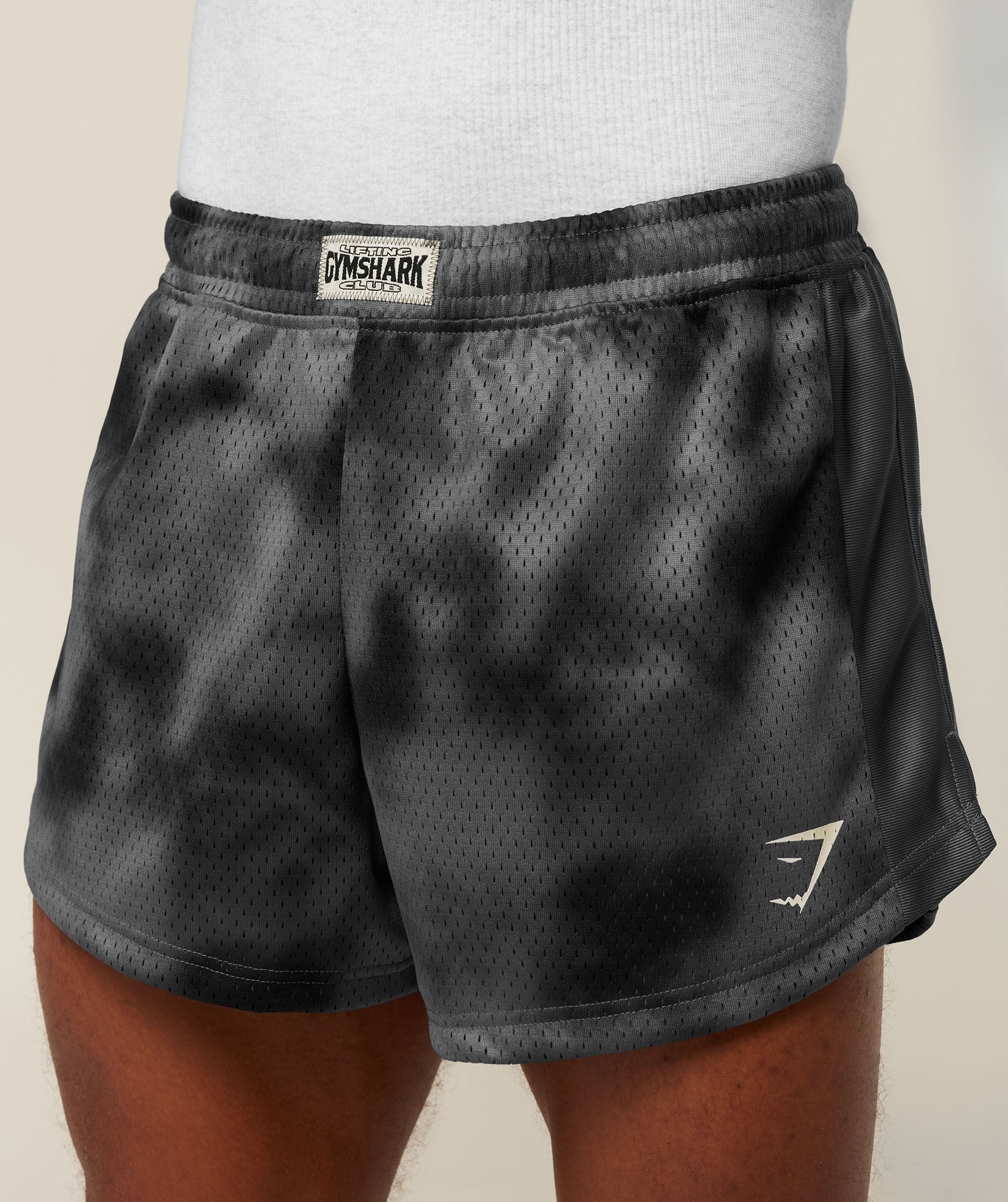 Lifting Icons 3" Shorts