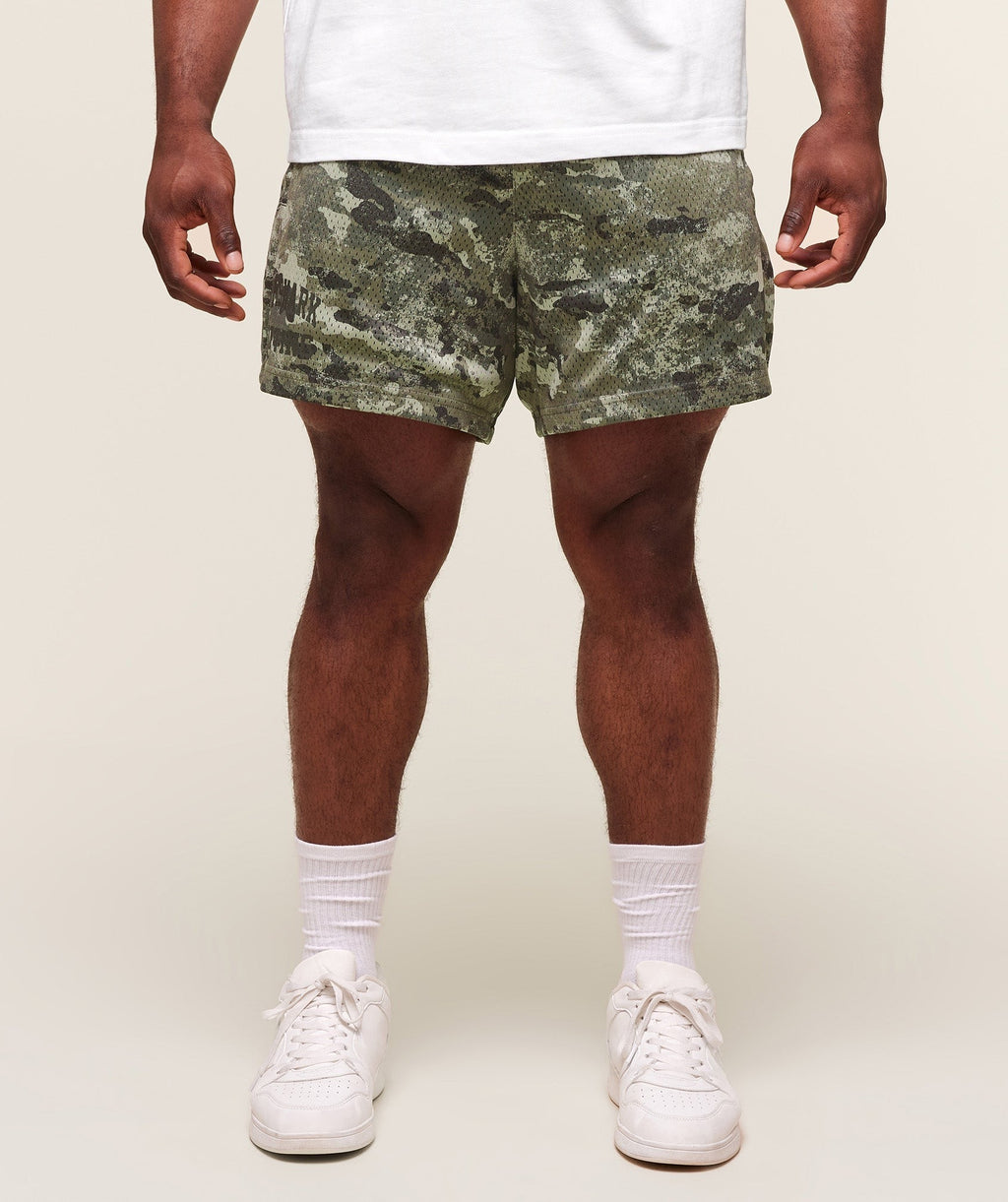 Lifting Mesh 5" Shorts