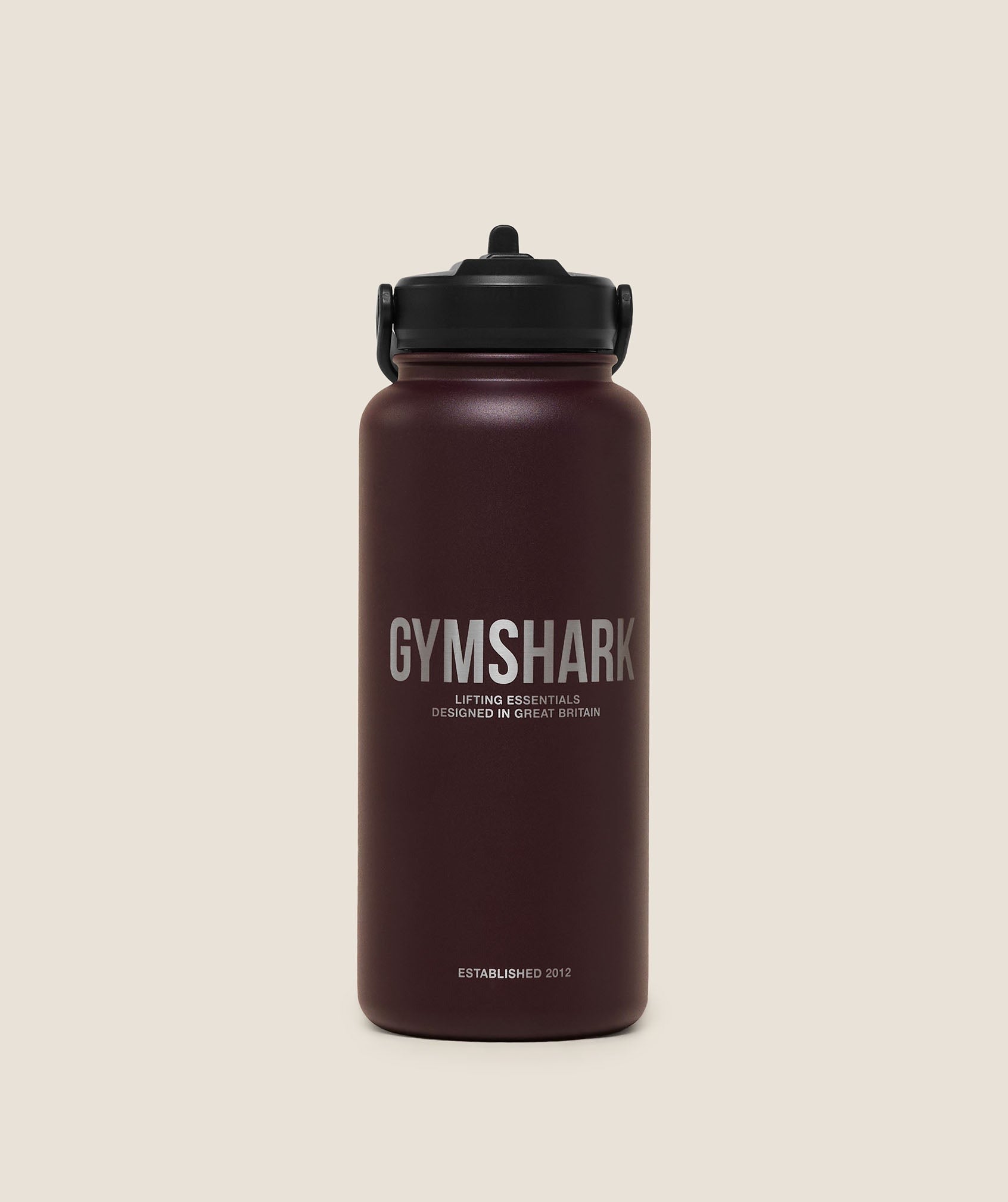 Metal Insulated Straw Bottle 1L