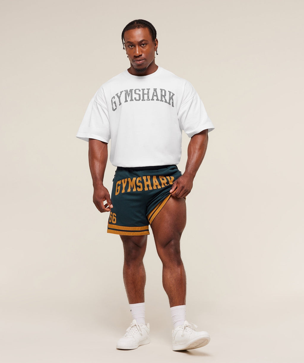 Campus Mesh Shorts