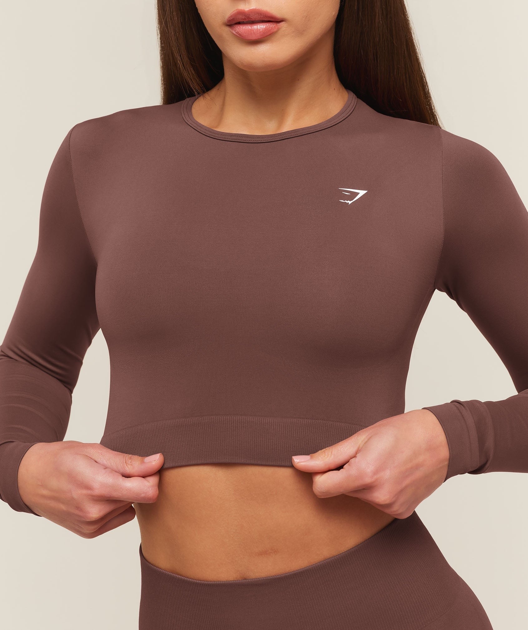 Everyday Seamless Long Sleeve Crop Top