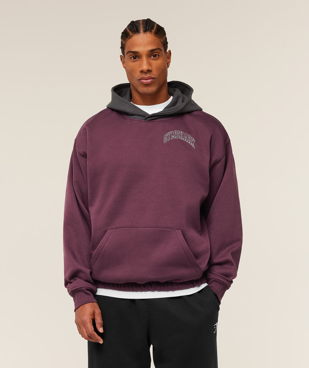 Collegiate Tech Hoodie