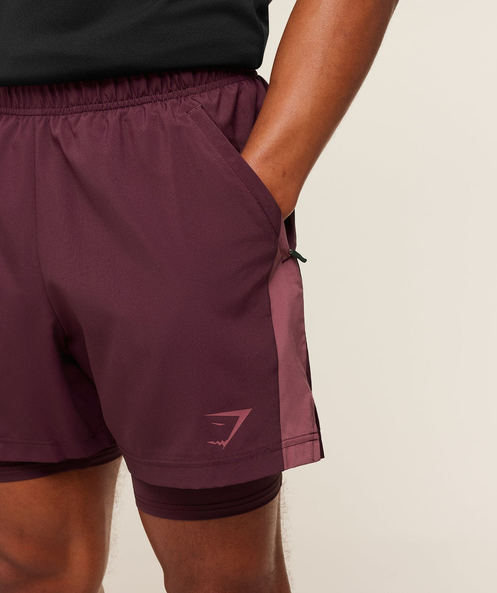 Sport 5" 2 in 1 Shorts